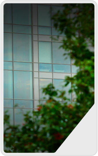 A modern glass office building with reflections on its windows, partially obscured by green leafy branches in the foreground.