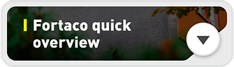 A rectangular button with the text "Fortaco quick overview" and a downward-pointing arrow on the right side, set against a blurred background with green and orange tones.